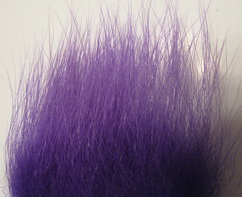 polar bear purple  premium